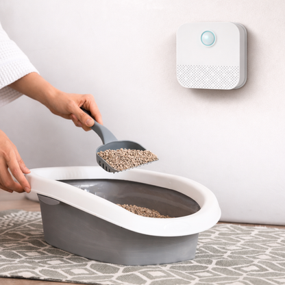 Purificateur intelligent