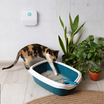 Purificateur intelligent